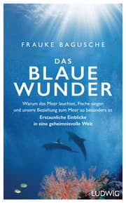 Cover von Das blaue Wunder