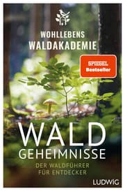 Cover von Waldgeheimnisse