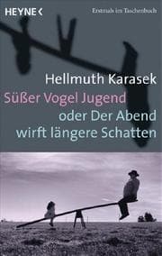 Cover von Süßer Vogel Jugend oder Der Abend wirft längere Schatten