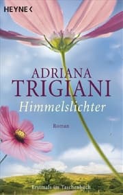 Cover von Himmelslichter