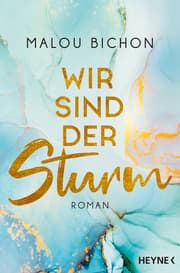 Cover von Wir sind der Sturm