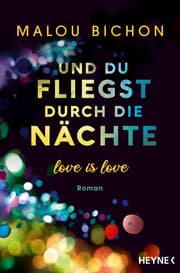 Cover von Und du fliegst durch die Nächte