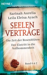 Cover von Seelenverträge 6 & 7