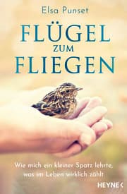 Cover von Flügel zum Fliegen
