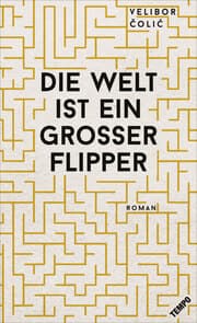 Cover von Die Welt ist ein großer Flipper
