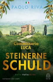 Cover von Steinerne Schuld