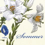 Cover von Sommer