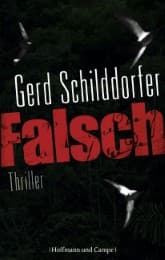Cover von Falsch