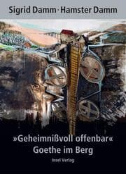 Cover von 'Geheimnißvoll offenbar'. Goethe im Berg