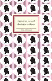 Cover von Goethes erste große Liebe Lili Schönemann