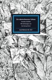 Cover von Ein rabenschwarzer Schnee
