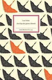 Cover von Am Kap des guten Abends
