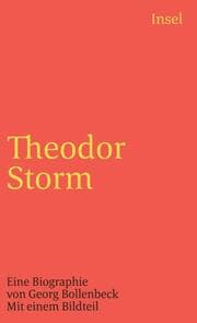 Cover von Theodor Storm