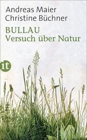 Cover von Bullau