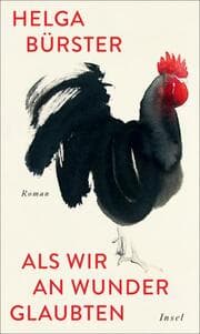 Cover von Als wir an Wunder glaubten