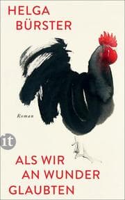 Cover von Als wir an Wunder glaubten