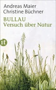 Cover von Bullau
