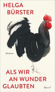 Cover von Als wir an Wunder glaubten