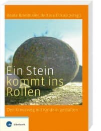 Cover von Ein Stein kommt ins Rollen