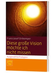 Cover von Diese große Vision möchte ich nicht missen