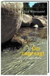 Cover von Dir zugesagt