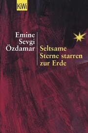 Cover von Seltsame Sterne starren zur Erde
