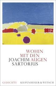 Cover von Wohin mit den Augen