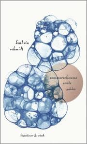 Cover von sommerschaums ernte