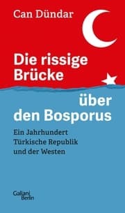 Cover von Die rissige Brücke über den Bosporus