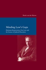 Cover von Minding Law's Gaps