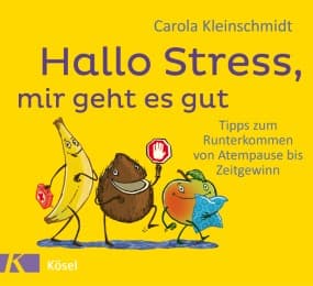 Cover von Hallo Stress, mir geht es gut