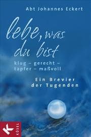 Cover von Lebe, was du bist