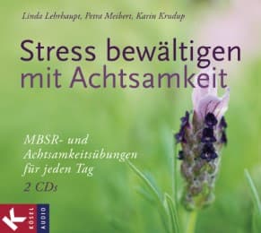 Cover von Stress bewältigen mit Achtsamkeit