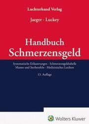 Cover von Handbuch Schmerzensgeld