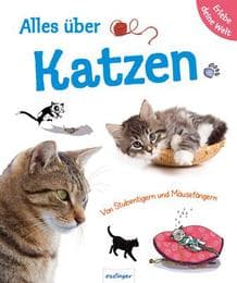 Cover von Alles über Katzen