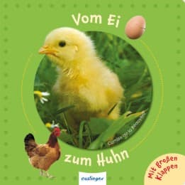 Cover von Vom Ei zum Huhn