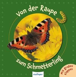 Cover von Von der Raupe zum Schmetterling