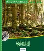 Cover von Wald