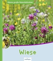 Cover von Wiese