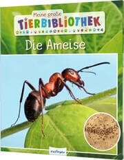 Cover von Die Ameise