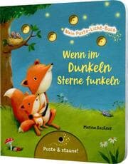 Cover von Wenn im Dunkeln Sterne funkeln