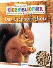 Cover von Das Eichhörnchen
