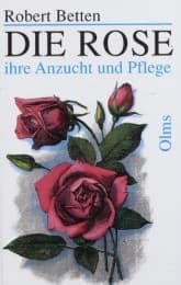 Cover von Die Rose