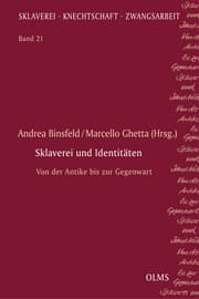 Cover von Sklaverei und Identitäten