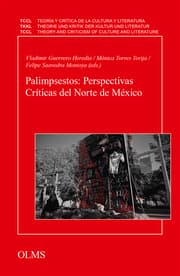 Cover von Palimpsestos: Perspectivas Críticas del Norte de México