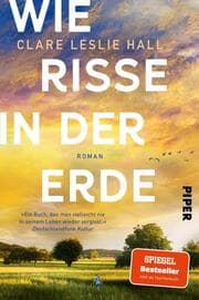 Cover von Wie Risse in der Erde