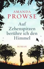 Cover von Auf Zehenspitzen berühre ich den Himmel