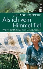 Cover von Als ich vom Himmel fiel