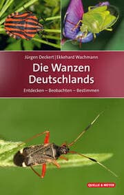 Cover von Die Wanzen Deutschlands