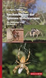 Cover von Taschenlexikon der Spinnen Mitteleuropas